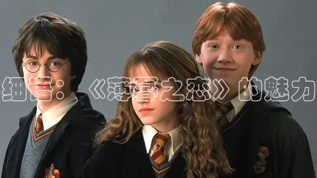 樱花视频在线观看免费播放电视剧